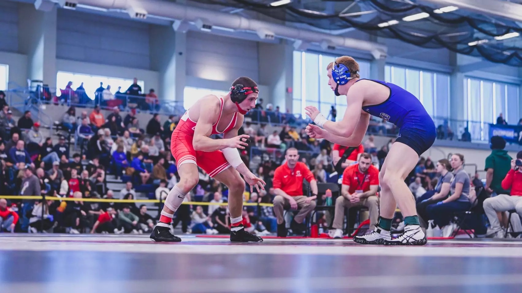 Cortland's Centrone Repeats as Regional Champion to Claim NCAA Berth