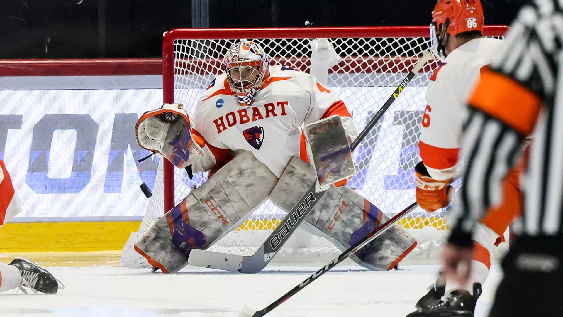 Hobart's Beaver nabs USCHO Player of the Year Honors