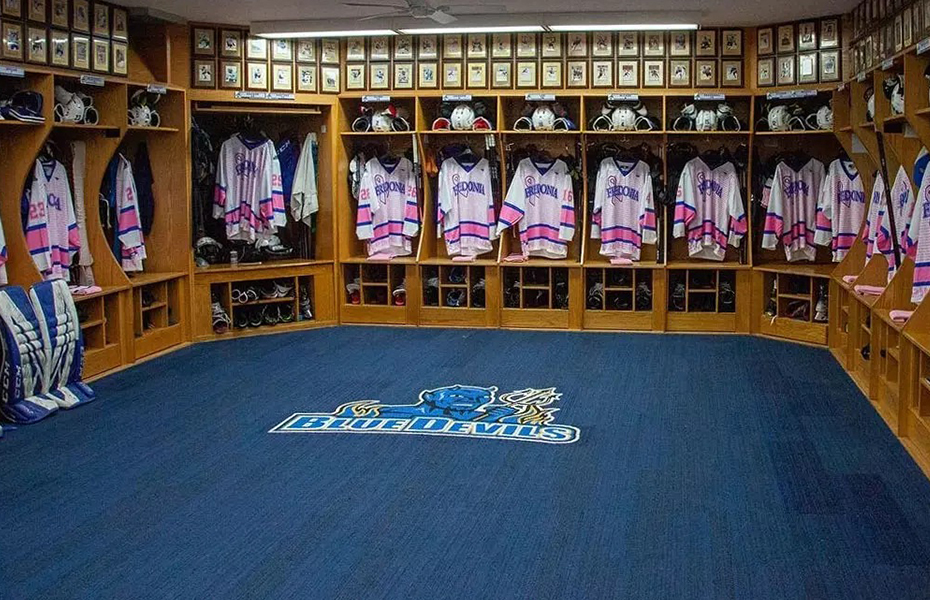 Fredonia's Pink the Rink set for Feb. 7, 2025
